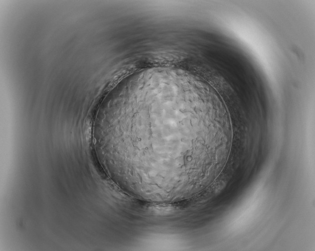 X0000115140767200911101707