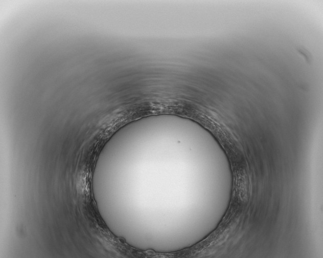 X0000115140770200911101707