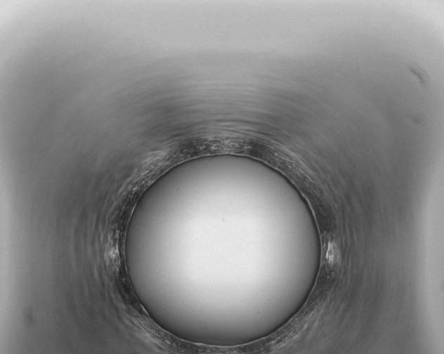 X0000115140771200911101707