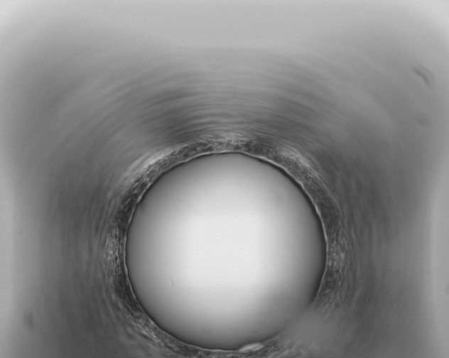 X0000115140773200911101707