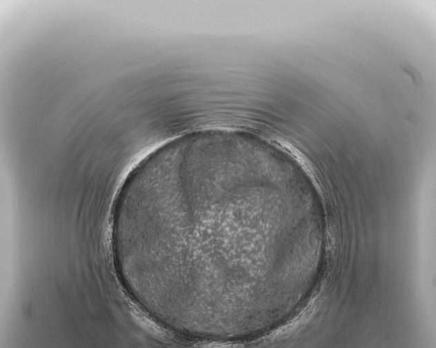 X0000115140779200911101707
