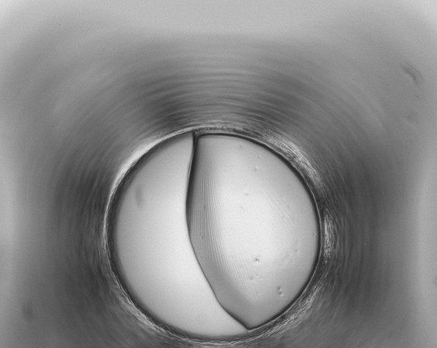 X0000115140780200911101707