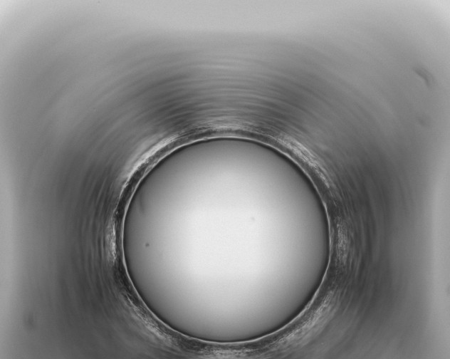X0000115140782200911101707