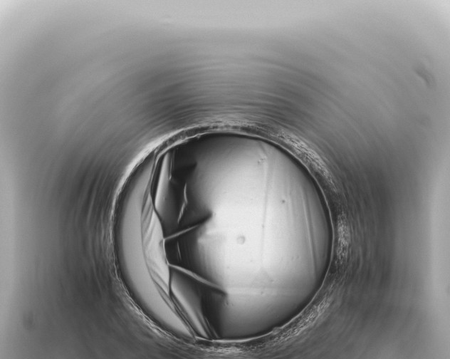 X0000115140784200911101706