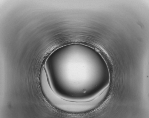 X0000115140785200911101706