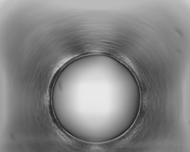 X0000115140787200911101706