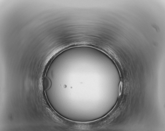 X0000115140789200911101706