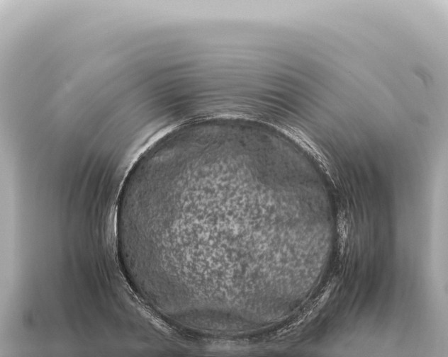 X0000115140790200911101706