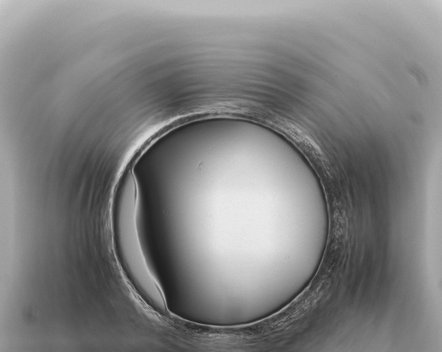 X0000115140792200911101706
