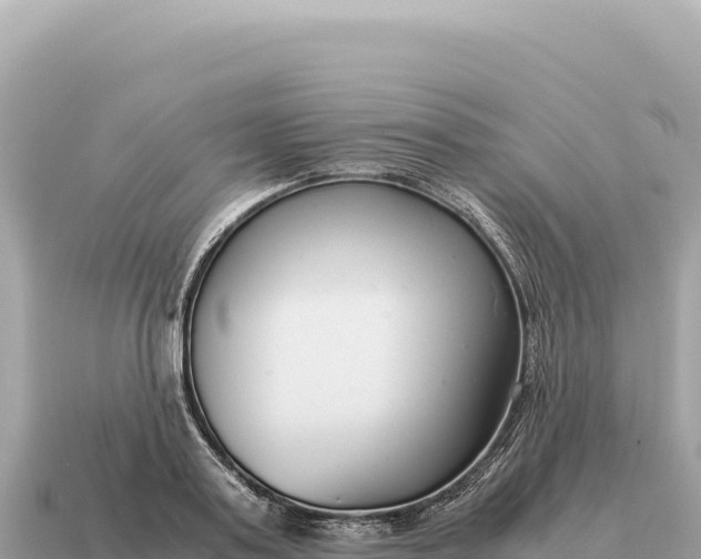 X0000115140795200911101706
