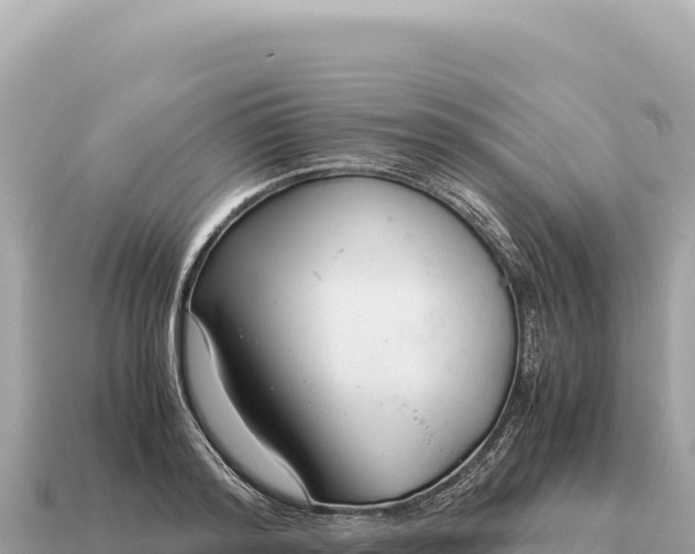 X0000115140796200911101706