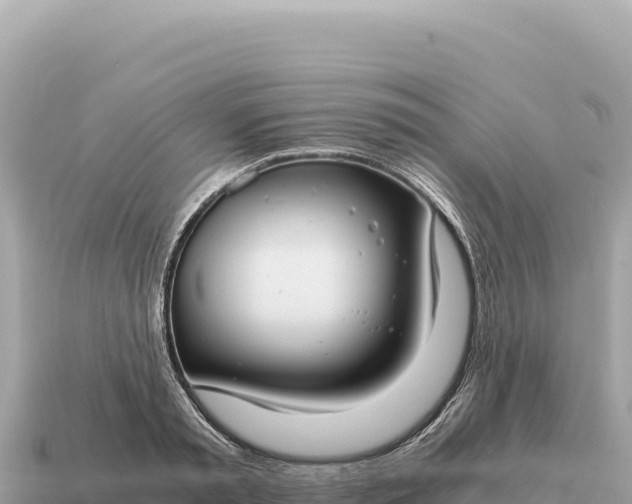 X0000115140797200911101706