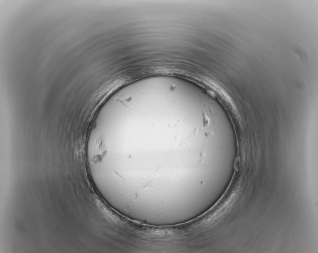 X0000115140801200911101706