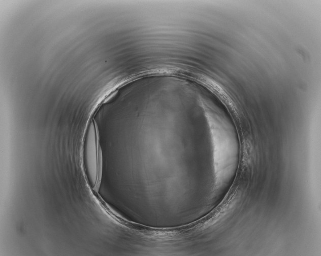X0000115140802200911101706