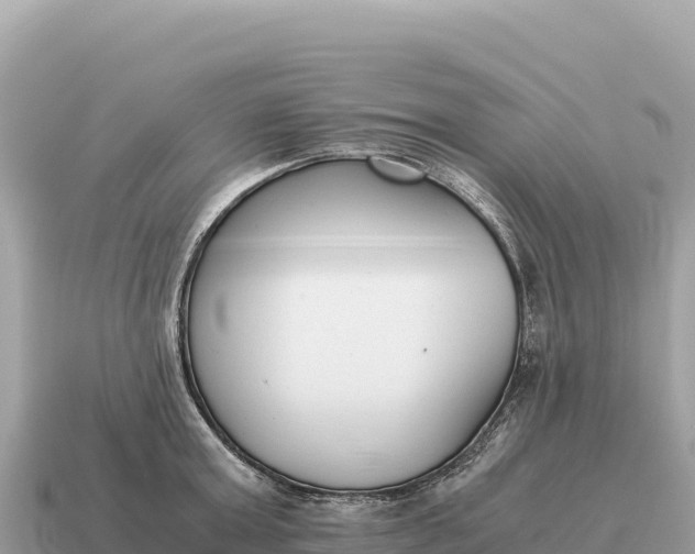 X0000115140803200911101706