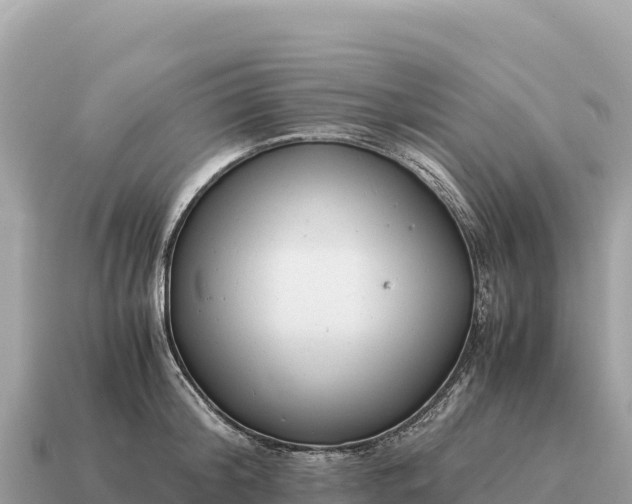 X0000115140804200911101706