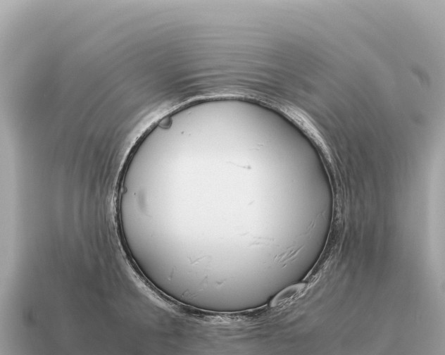X0000115140805200911101706