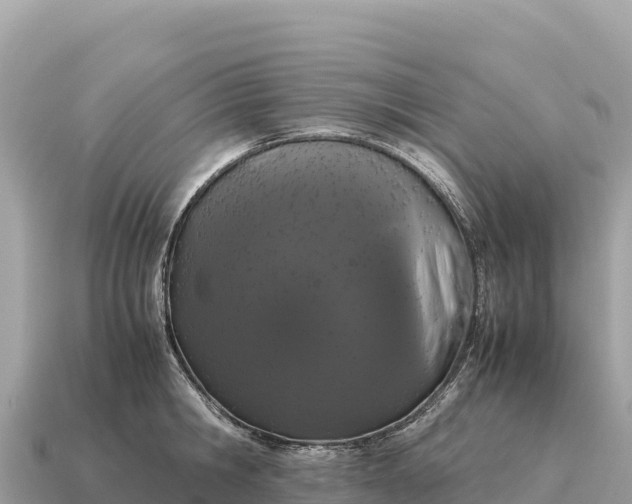 X0000115140806200911101706