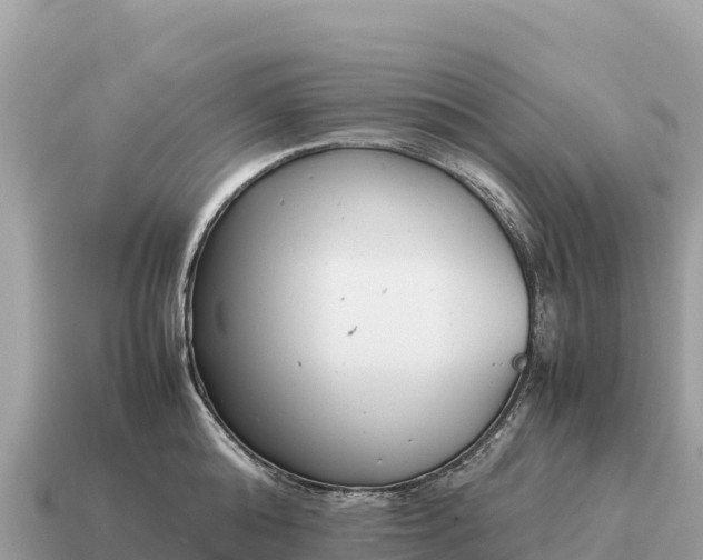X0000115140808200911101706