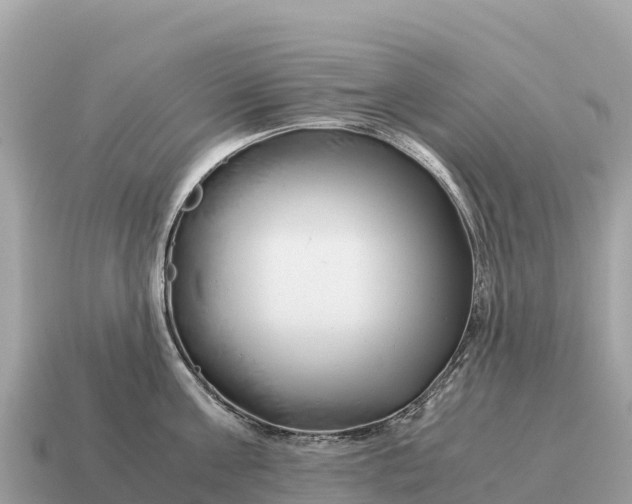 X0000115140811200911101706
