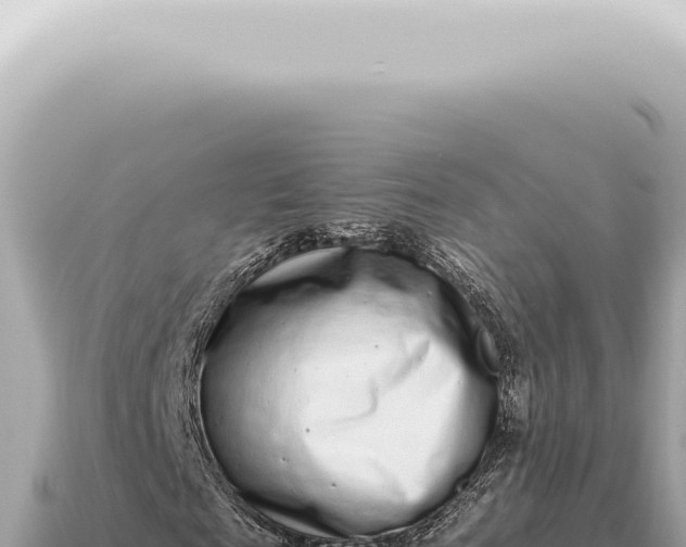 X0000115140817200911101705