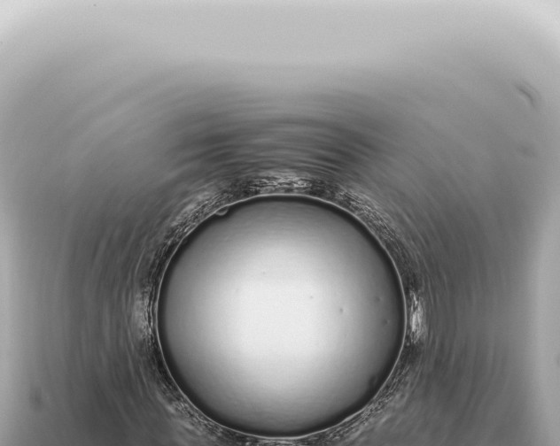 X0000115140819200911101705