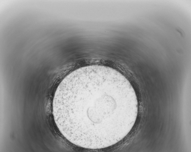X0000115140820200911101706