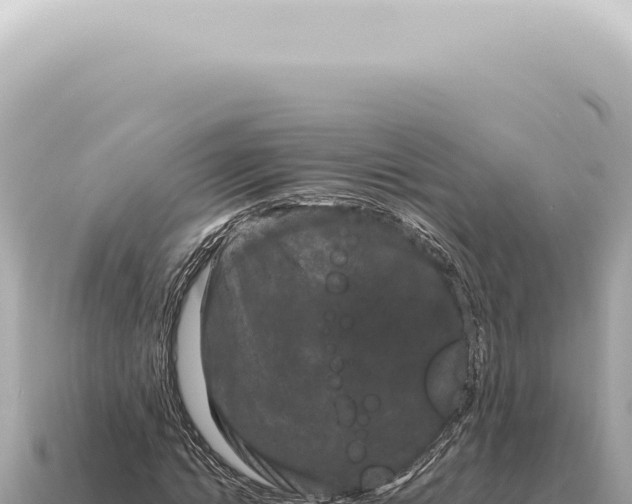 X0000115140822200911101706