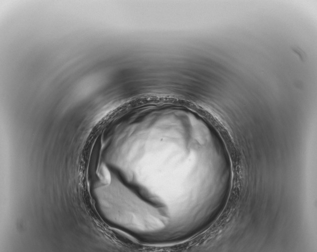 X0000115140823200911101706