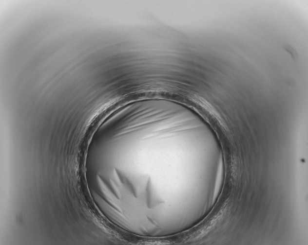 X0000115140826200911101706