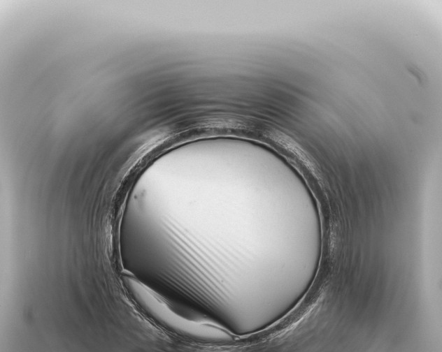 X0000115140829200911101706