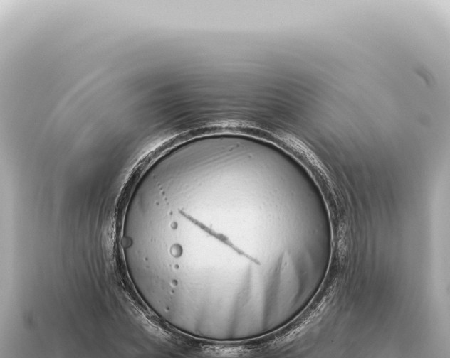 X0000115140831200911101706