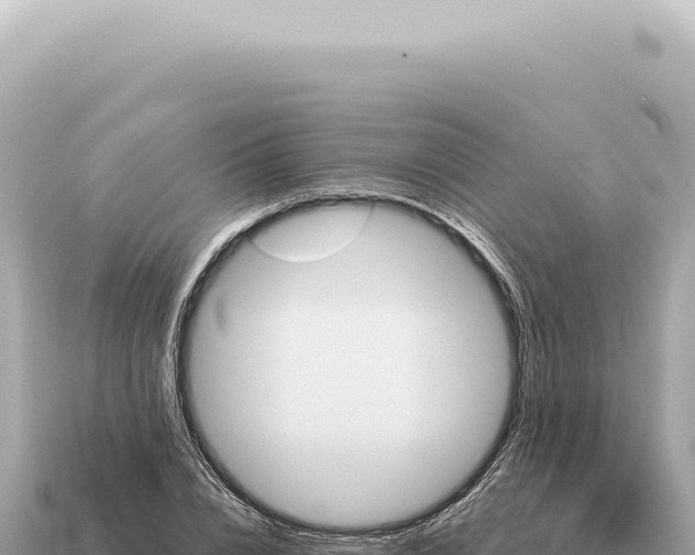 X0000115140832200911101706