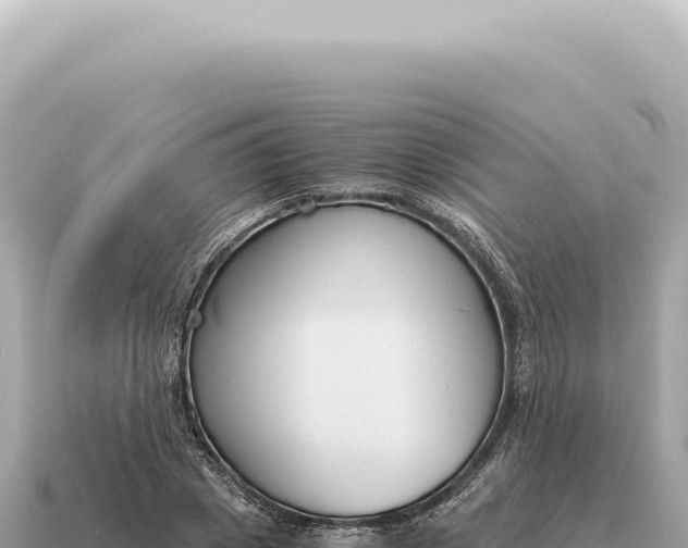 X0000115140833200911101706