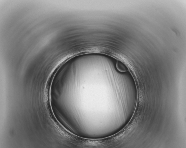 X0000115140835200911101706