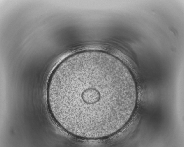 X0000115140836200911101706