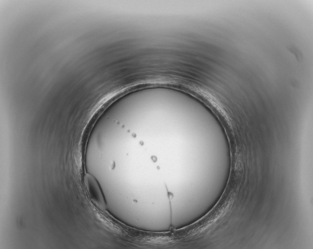 X0000115140837200911101706
