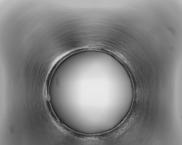 X0000115140838200911101706