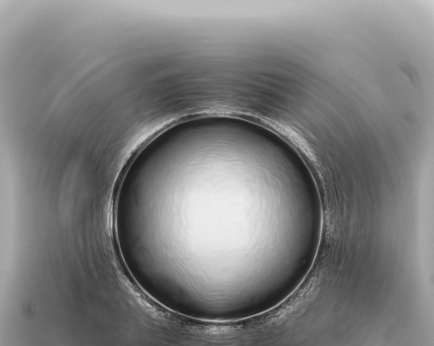 X0000115140839200911101706