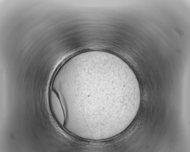 X0000115140840200911101706