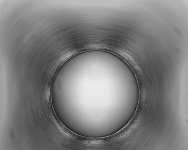 X0000115140841200911101706