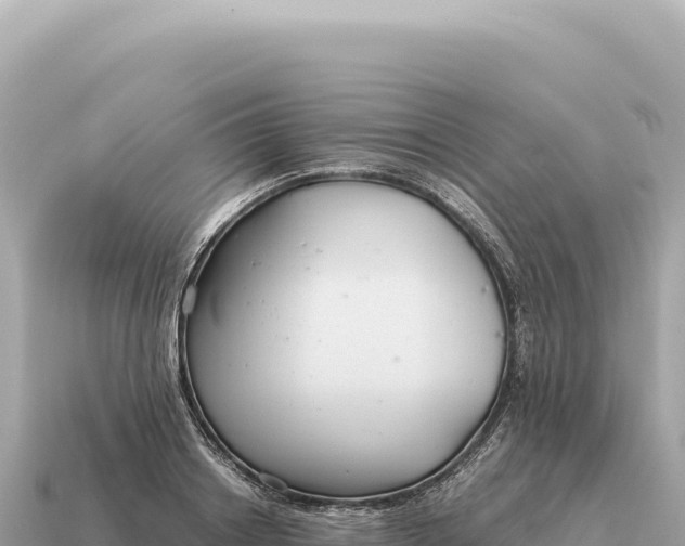 X0000115140842200911101706