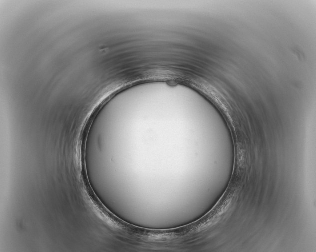 X0000115140843200911101706
