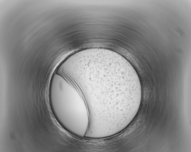X0000115140844200911101706