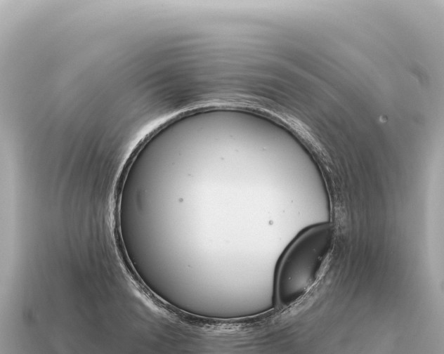 X0000115140846200911101706