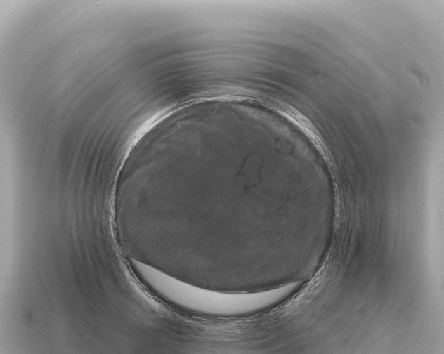 X0000115140850200911101706