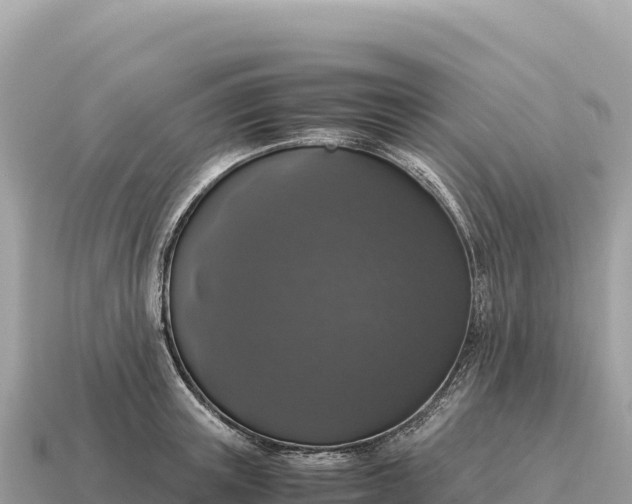 X0000115140851200911101706