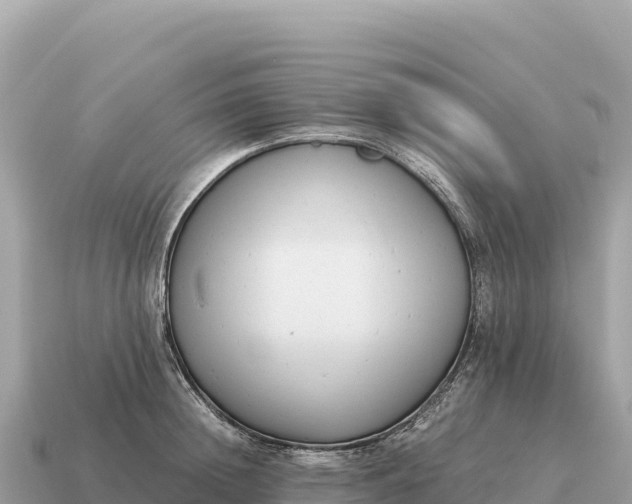 X0000115140852200911101706