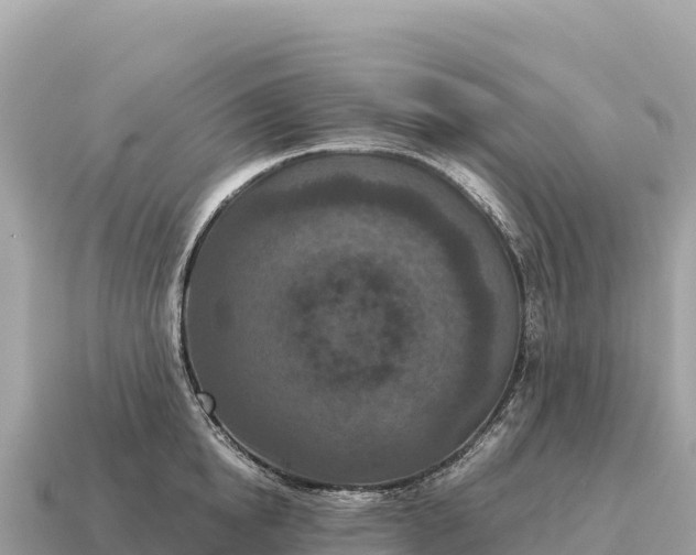 X0000115140854200911101706