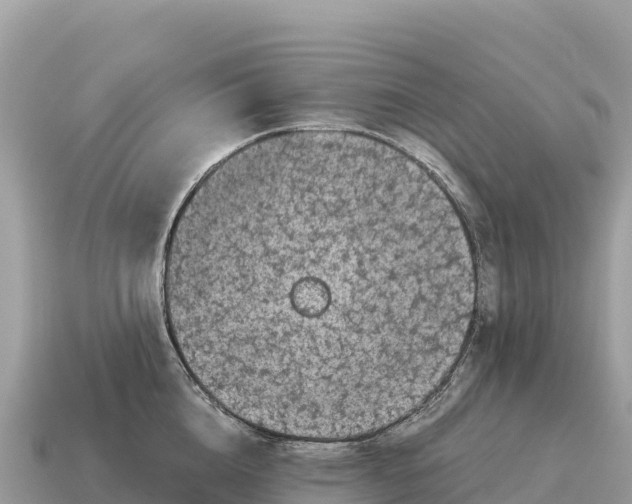 X0000115140856200911101706